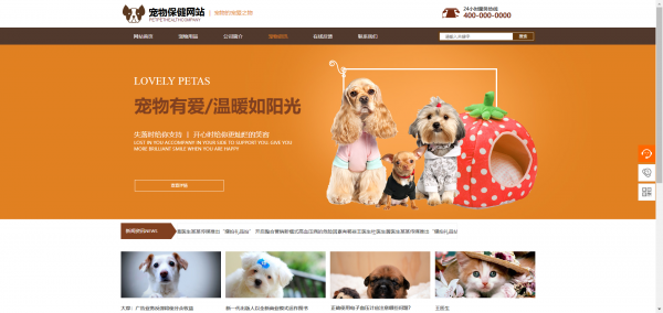 公司網站制作，扁平化風格的應用