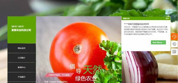 公司網站制作，秩序與靈動并存的網頁設計